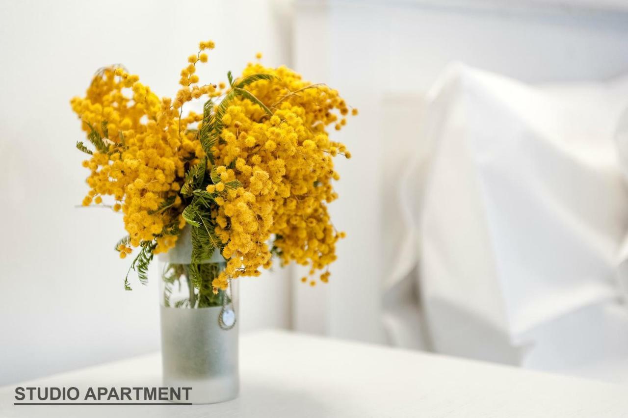 Apartments Rialto Gallery شيبينيك المظهر الخارجي الصورة